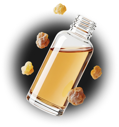 mission and purpose image